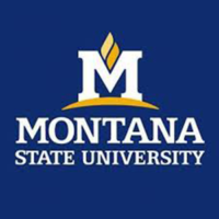 MSU