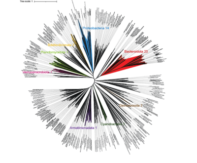 Fig. Busi et al., 2021